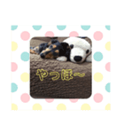 kokoro0209（個別スタンプ：2）