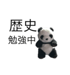 勉強パンダ（個別スタンプ：4）