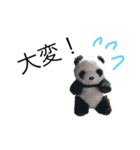勉強パンダ（個別スタンプ：8）