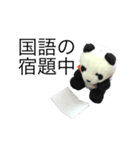 勉強パンダ（個別スタンプ：10）