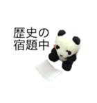 勉強パンダ（個別スタンプ：11）