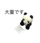 勉強パンダ（個別スタンプ：15）