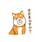 大切な人へこゆきからのメッセージ♡敬語編（個別スタンプ：1）