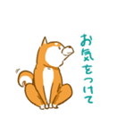 大切な人へこゆきからのメッセージ♡敬語編（個別スタンプ：8）