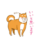 大切な人へこゆきからのメッセージ♡敬語編（個別スタンプ：9）
