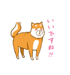 大切な人へこゆきからのメッセージ♡敬語編（個別スタンプ：10）