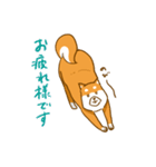 大切な人へこゆきからのメッセージ♡敬語編（個別スタンプ：11）