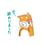大切な人へこゆきからのメッセージ♡敬語編（個別スタンプ：24）