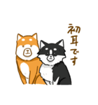 大切な人へこゆきからのメッセージ♡敬語編（個別スタンプ：27）