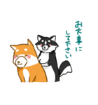 大切な人へこゆきからのメッセージ♡敬語編（個別スタンプ：28）