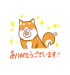 大切な人へこゆきからのメッセージ♡敬語編（個別スタンプ：34）