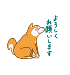 大切な人へこゆきからのメッセージ♡敬語編（個別スタンプ：39）