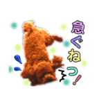 松本家のわんにゃんたち2（個別スタンプ：10）