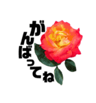 yasuおばさんの薔薇言葉2（個別スタンプ：21）