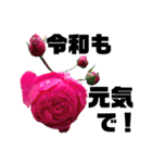 yasuおばさんの薔薇言葉2（個別スタンプ：30）