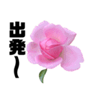 yasuおばさんの薔薇言葉2（個別スタンプ：37）