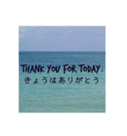 美しい風景とありがとうメッセージ（個別スタンプ：8）