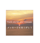 美しい風景とありがとうメッセージ（個別スタンプ：11）