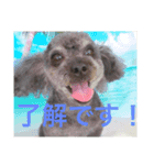 しょこぱぴ日和3（個別スタンプ：3）