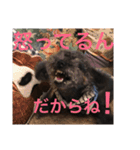 しょこぱぴ日和3（個別スタンプ：5）