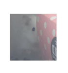 はむスたんぷ（個別スタンプ：2）