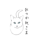 白猫のシロです。（個別スタンプ：2）