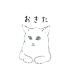 白猫のシロです。（個別スタンプ：5）