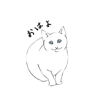 白猫のシロです。（個別スタンプ：10）