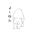 白猫のシロです。（個別スタンプ：22）
