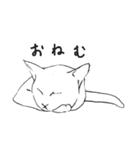白猫のシロです。（個別スタンプ：24）