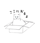 白猫のシロです。（個別スタンプ：26）