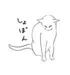 白猫のシロです。（個別スタンプ：38）