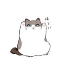 太めな猫のラグドールさん（個別スタンプ：1）