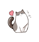 太めな猫のラグドールさん（個別スタンプ：3）