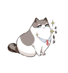 太めな猫のラグドールさん（個別スタンプ：4）