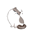 太めな猫のラグドールさん（個別スタンプ：5）