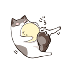 太めな猫のラグドールさん（個別スタンプ：9）