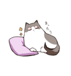 太めな猫のラグドールさん（個別スタンプ：10）