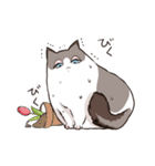 太めな猫のラグドールさん（個別スタンプ：11）
