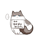 太めな猫のラグドールさん（個別スタンプ：12）