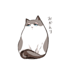 太めな猫のラグドールさん（個別スタンプ：16）