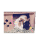 ムーの日常！！！（個別スタンプ：5）