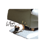 ムーの日常！！！（個別スタンプ：7）