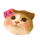 猫好きスタNO1ฅ•ω•ฅ（個別スタンプ：2）