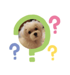 ひなむぎスタンプ①（個別スタンプ：7）