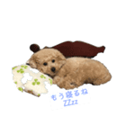にょにょ1（個別スタンプ：1）