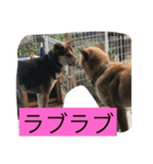 癒されるよね〜（個別スタンプ：1）
