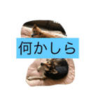 癒されるよね〜（個別スタンプ：2）