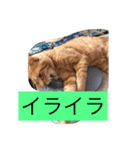 癒されるよね〜（個別スタンプ：3）