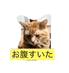 癒されるよね〜（個別スタンプ：5）